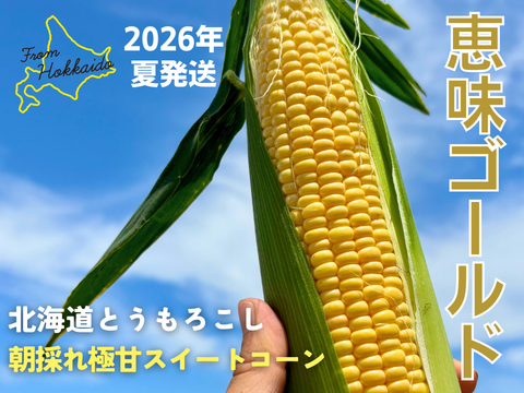 【朝採れ極甘スイートコーン】「恵味ゴールド」18本　//先行予約/2026年7月下旬より発送//