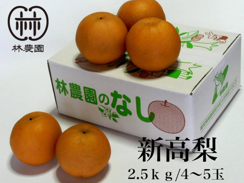 梨食べ比べセット　新高梨(家庭用）約2.5kg＋新興梨(家庭用）約2.5kg