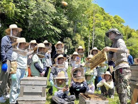【お歳暮に！】食べ比べが楽しい！天然蜂蜜2種　200g×2本入り