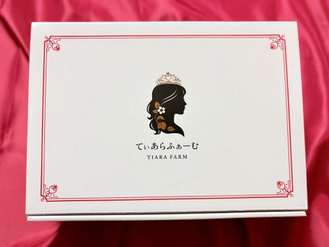 【母の日ギフト】てぃあらふぁーむが届ける赤い宝石「いちごさん」大玉1箱約500g