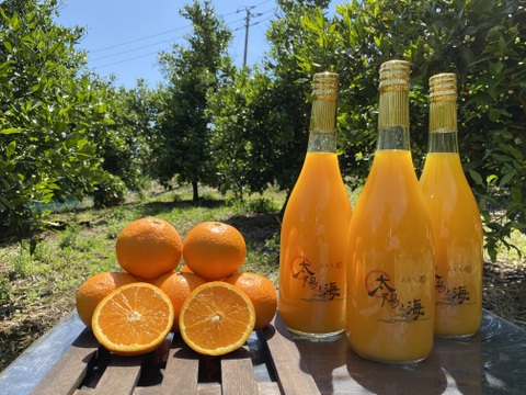 愛媛のみかんジュース⭐︎飲み比べ3本セット