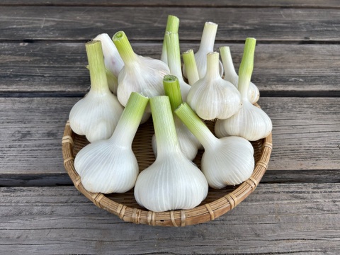 農薬/化学肥料不使用【生ニンニク】福地ホワイト六片・LM混在・1kg　‐数量限定特価‐