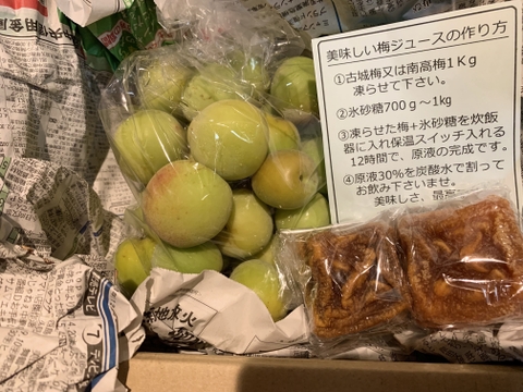 【あんぽ柿試食付】大粒南高梅(ナンコウ)１㎏和歌山産