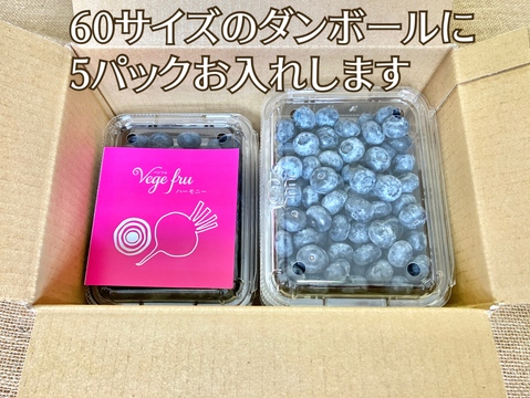 【2025年岩手県産】生ブルーベリー1kg【200g×５パック】通常販売