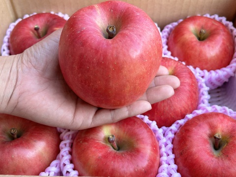 幻の蜜りんご‼️山形県産こうとく【秀3キロ】