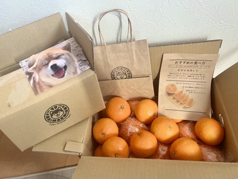 【ぷるん、とろり】完熟ハウス 福まどんな《ご家庭用 5kg》｜サイズ混合｜愛媛・西宇和産