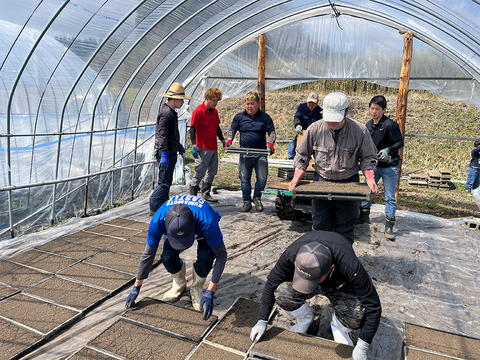 Ｒ７年産一等米ヒノヒカリ「風の香」白米５Kg