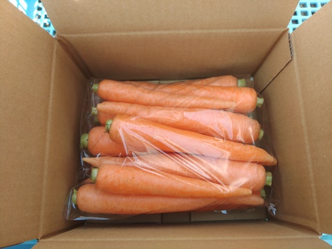 《とりあえず生で！》彩誉ニンジン 1.5kg　（規格外）