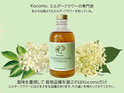 🌱エルダーフラワーコーディアル🌱岡山県産エルダーフラワー 「Kocomo's Elderflower Cordial」300ml