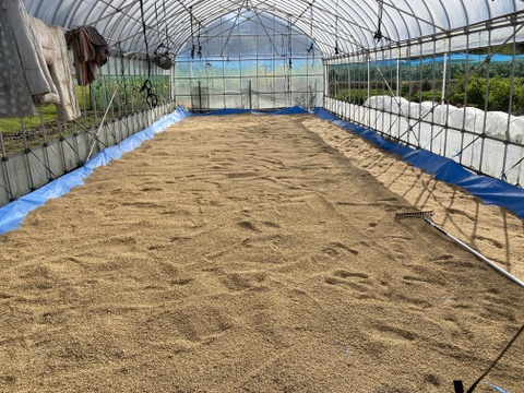 【令和7年度産】完全農薬不使用・化学肥料不使用・動物性堆肥不使用。天日乾燥。うるち米 玄米（コシヒカリ ）10kg