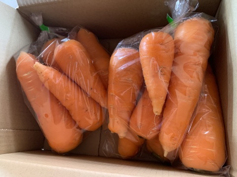 【自然栽培】鮮紅三寸人参 2kg