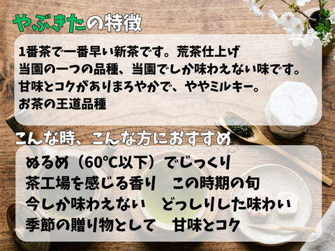 【2026年新茶】新茶箱ギフト　大切な方へ旬をお届け！やぶきた＆さえみどり　100ｇ×2パック