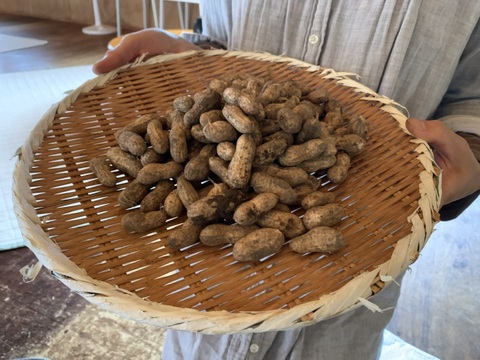 奥出雲産自然栽培生ラッカセイ(500g)