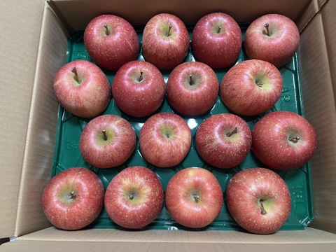 葉とらずサンふじ５キロ家庭用