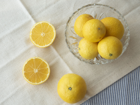 【先着5名様限定】伊藤農園認定 農家さんの木成り 完熟 黄金柑 特選 12個入【5月上旬より発送予定】354