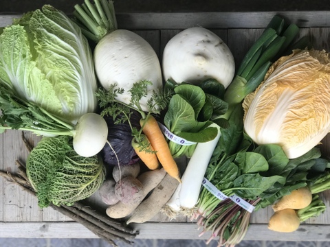 京の旬野菜おまかせセット【漢方栽培】