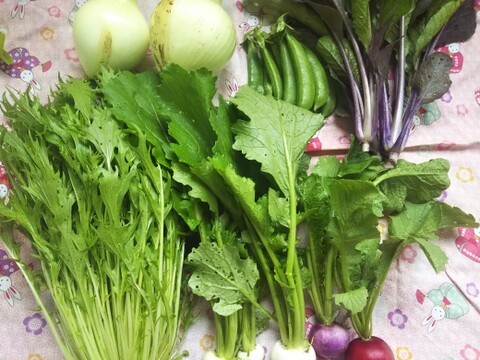 【宮崎県産】うま!あま!玉ねぎと春野菜ミニセット( 5品目)