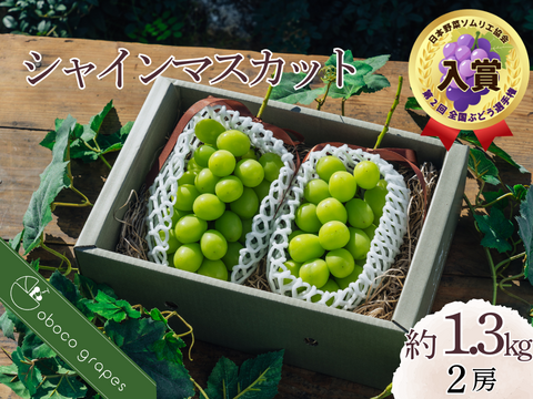 【第2回全国ぶどう選手権入賞】パリッとジューシー！香り弾ける！『至福のシャインマスカット』（２房/合計約１.3kg）【贈答・ご褒美】