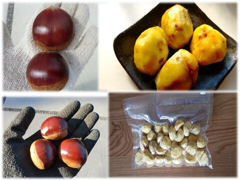 【特大粒サイズ岸根栗 甘い熟成むき栗 】ねっとり甘い岸根栗をもっと甘くする氷温熟成むき栗　岸根 真空パック冷凍　むき栗1パック300g入り