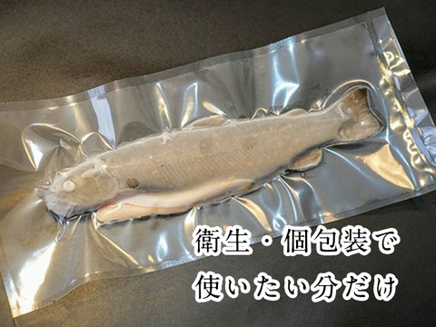 おうちで塩焼き 北陸加賀 白山の天然水育ちイワナ10尾セット 石川県産 川魚養殖 冷凍 内臓処理済み 石川県産 食べチョク 農家 漁師の産直ネット通販 旬の食材を生産者直送