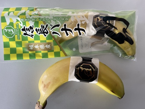 【味に自信あり】天下布武信長バナナ！　安心、安全、皮まで食べれる純国産バナナ！
