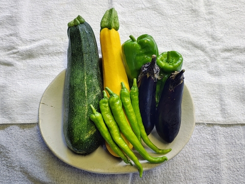 【栽培期間中　農薬不使用！】旬の夏野菜をBBQで味わい尽くす福野菜BBQセット(80サイズの箱に入るだけ　3-5種類程度）