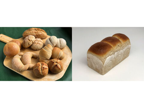 【超貴重な有機JAS認証パン】パンセット④改+食パン：麦の栽培から一貫生産　自然栽培小麦のみ使用したパンセット