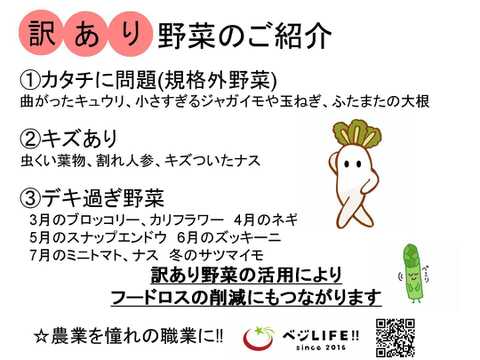 【アースデー企画】旬の訳あり野菜セット※おススメレシピ付き‼