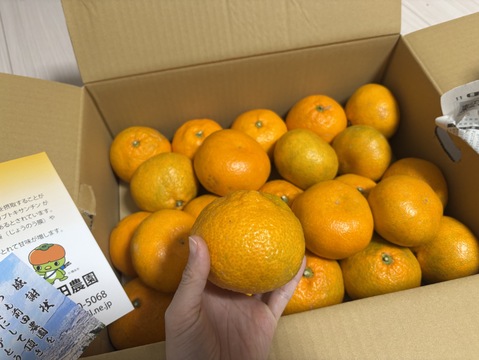 【特別栽培】和歌山県(桃山町産)　みかん【宮川早生】5kg(でかみかん)