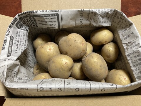 希望と明るさの”きたあかり”新じゃが約2kg