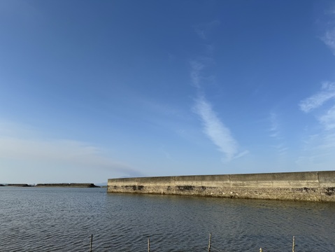 国産あさり（アサリ）1kg 生まれも育ちも『鹿児島県産！天然養殖アサリ』