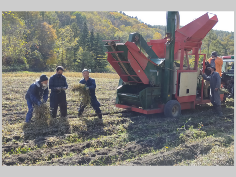 使いやすい「1kg梱包」　風味豊かな農薬不使用の有機黒豆18kg　 北海道の大地で育った「いわいくろ」　１２月１８日ころより発送予定