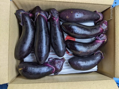 長ナス1kg：山形県産の野菜｜食べチョク｜産地直送(産直)お取り寄せ