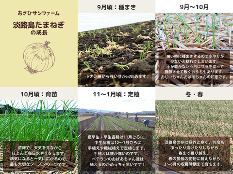 【訳あり品】淡路島産新たまねぎ 10kg 兵庫県認証食品