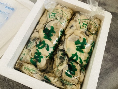 【お得に家庭用！！】ぷりっぷりの草津かき　家庭用むき身５００g×2袋発砲入り　牡蠣　化粧箱なし　！！加熱用【冬ギフト】