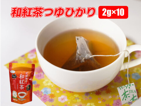 【猿島茶で作った紅茶】和紅茶つゆひかり／2g×10 お茶 ティーバッグ クリックポスト