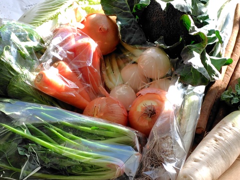 畑から直送! 野菜ソムリエ農家　旬のカラフル野菜セット(約7,8品目)