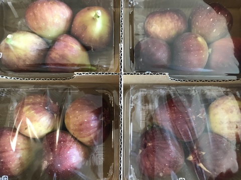 【ご家庭用】朝採りいちじく1箱