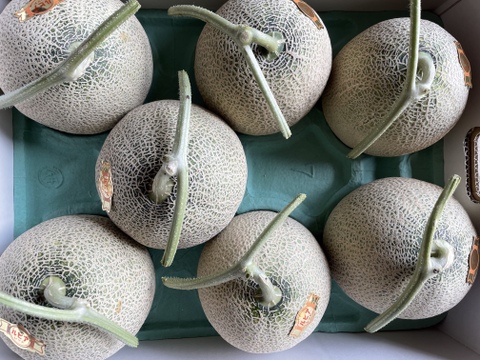 【御好評記念】鮮やかなオレンジ色に育った北海道の赤肉メロン7玉入化粧箱（8キロ）
