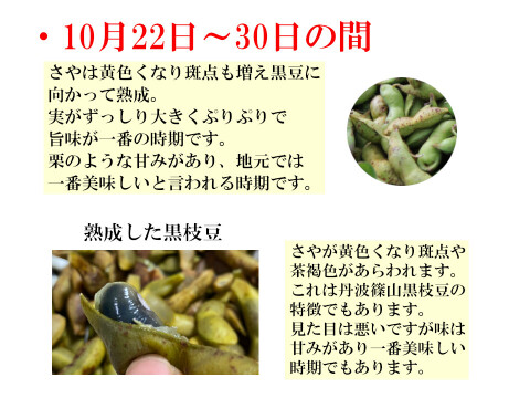 【先行予約スタート】 丹波篠山 黒枝豆 枝豆 丹波 黒豆 600g × 3 丹波篠山産 2024年 丹波 枝豆 もっちり 黒大豆 大粒 波部黒 丹波黒 高級 1800g 黒大豆枝豆 枝なし さや