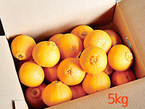 【ご予約受付中】不知火(デコみかん)【贈答用(特選品)】5kg 322-1