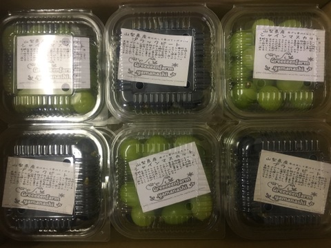 【今季ラスト販売】シャインマスカット＋オススメレア品種ブドウ粒200gパック(1セット6パック1.2kg)