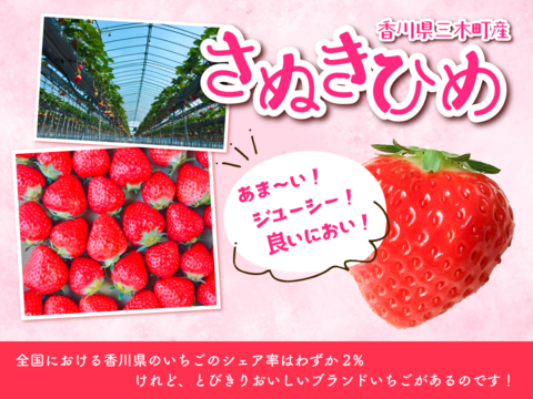 【 SNSが得意じゃないイチゴ農家（41歳）が情熱を注ぐ】大玉さぬきひめいちご約850g【苺音スタンダード約850g】