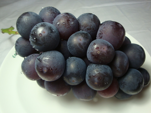 食べチョク登録記念　
山梨県産ピオーネ約1㎏~1.2kg　【ご家庭用】