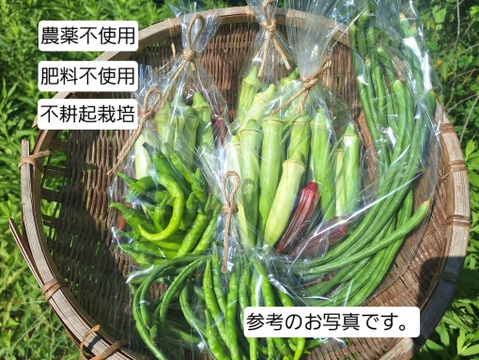 『自然農』旬のお野菜セット
(オクラ三種盛をメインにしたセットです😊)