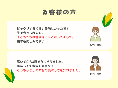 【自然のスイーツ】生がイチバン！朝採りフルーツコーン 10本入り