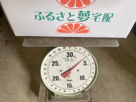 河内晩柑　(ご家庭用３kg)