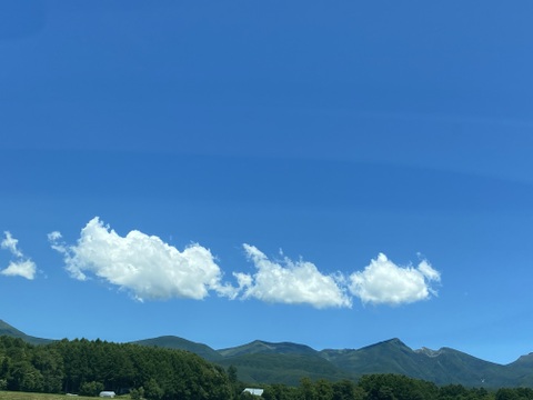 【令和7年度産】完全農薬不使用・化学肥料不使用・動物性堆肥不使用。天日乾燥。うるち米 玄米（コシヒカリ）5kg