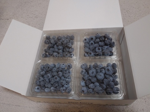 大粒ブルーベリーミックス1kg(125g×8P)