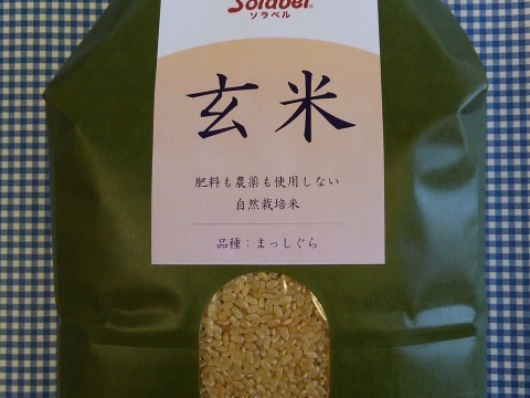 【セット】♡玄米3kg・味噌500g・小豆250g×2袋♡